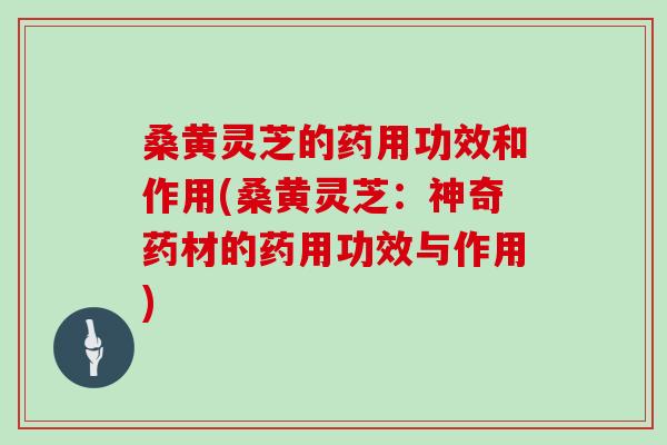 桑黄灵芝的药用功效和作用(桑黄灵芝：神奇药材的药用功效与作用)