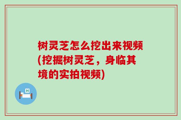 树灵芝怎么挖出来视频(挖掘树灵芝，身临其境的实拍视频)