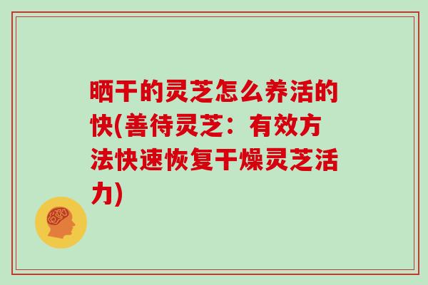 晒干的灵芝怎么养活的快(善待灵芝：有效方法快速恢复干燥灵芝活力)