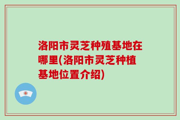 洛阳市灵芝种殖基地在哪里(洛阳市灵芝种植基地位置介绍)