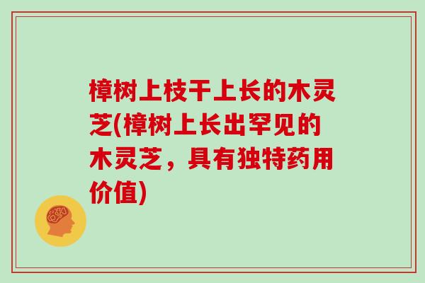 樟树上枝干上长的木灵芝(樟树上长出罕见的木灵芝，具有独特药用价值)