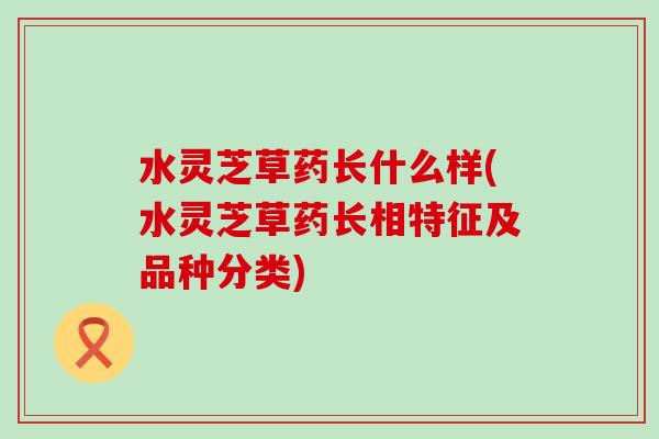 水灵芝草药长什么样(水灵芝草药长相特征及品种分类)