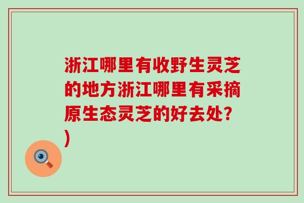 浙江哪里有收野生灵芝的地方浙江哪里有采摘原生态灵芝的好去处？)