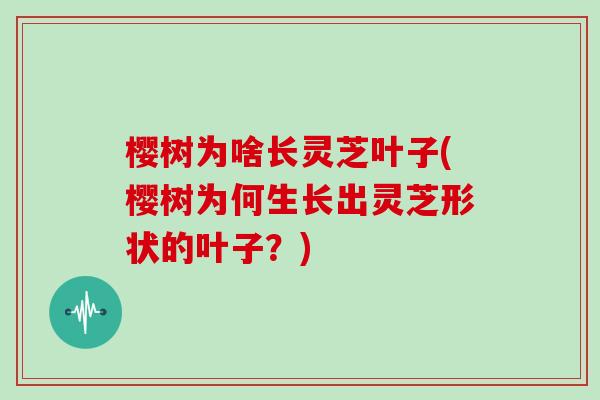 樱树为啥长灵芝叶子(樱树为何生长出灵芝形状的叶子？)