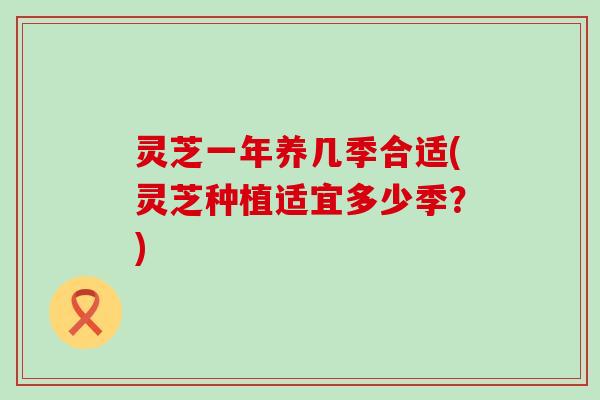 灵芝一年养几季合适(灵芝种植适宜多少季？)