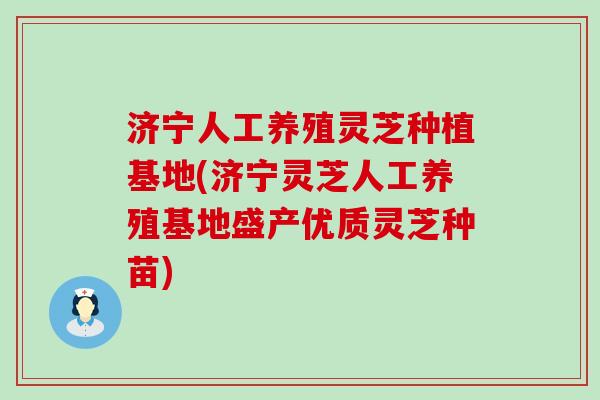 济宁人工养殖灵芝种植基地(济宁灵芝人工养殖基地盛产优质灵芝种苗)