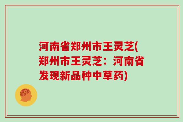 河南省郑州市王灵芝(郑州市王灵芝：河南省发现新品种中草药)