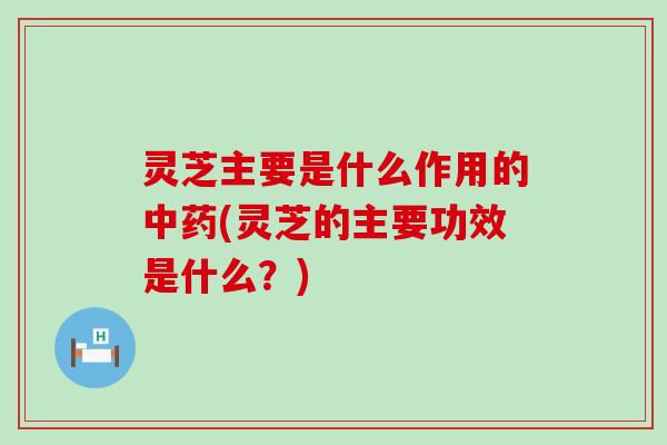 灵芝主要是什么作用的(灵芝的主要功效是什么？)