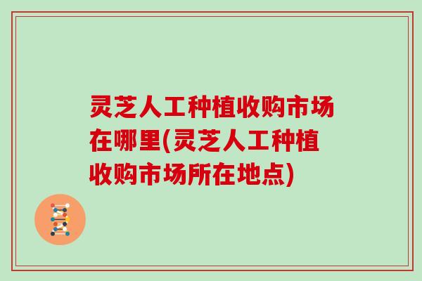 灵芝人工种植收购市场在哪里(灵芝人工种植收购市场所在地点)