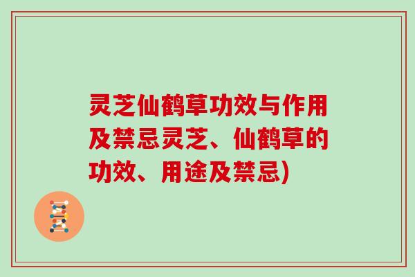 灵芝仙鹤草功效与作用及禁忌灵芝、仙鹤草的功效、用途及禁忌)