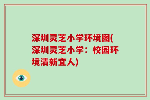 深圳灵芝小学环境图(深圳灵芝小学：校园环境清新宜人)