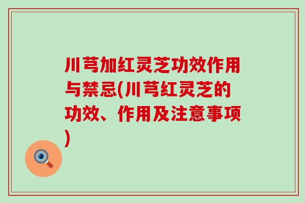 川芎加红灵芝功效作用与禁忌(川芎红灵芝的功效、作用及注意事项)