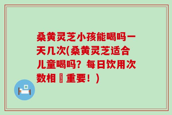 桑黄灵芝小孩能喝吗一天几次(桑黄灵芝适合儿童喝吗？每日饮用次数相當重要！)