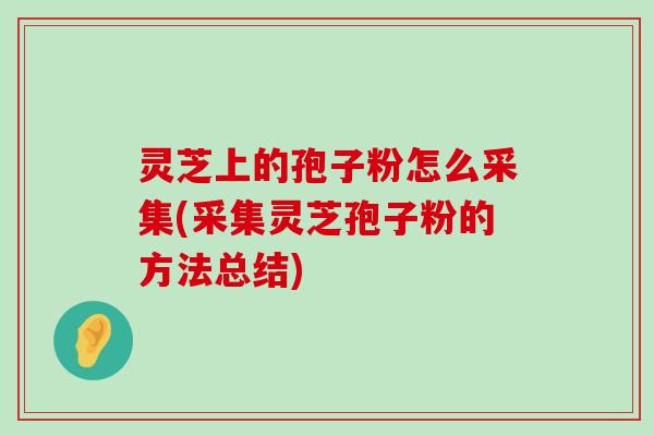 灵芝上的孢子粉怎么采集(采集灵芝孢子粉的方法总结)