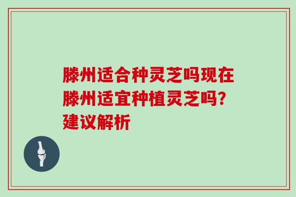 滕州适合种灵芝吗现在滕州适宜种植灵芝吗？建议解析