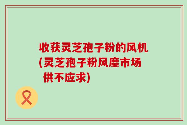 收获灵芝孢子粉的风机(灵芝孢子粉风靡市场 供不应求)