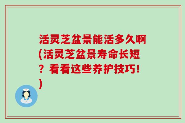 活灵芝盆景能活多久啊(活灵芝盆景寿命长短？看看这些养护技巧！)