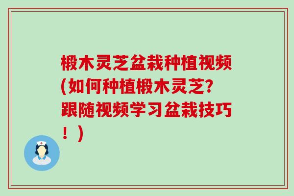 椴木灵芝盆栽种植视频(如何种植椴木灵芝？跟随视频学习盆栽技巧！)