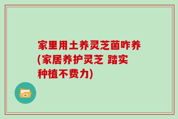 家里用土养灵芝菌咋养(家居养护灵芝 踏实种植不费力)