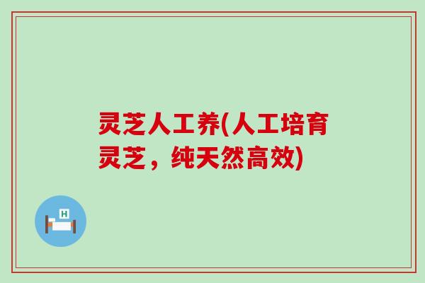 灵芝人工养(人工培育灵芝，纯天然高效)