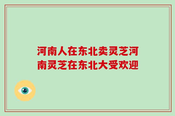 河南人在东北卖灵芝河南灵芝在东北大受欢迎