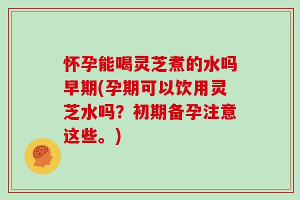 怀孕能喝灵芝煮的水吗早期(孕期可以饮用灵芝水吗？初期备孕注意这些。)