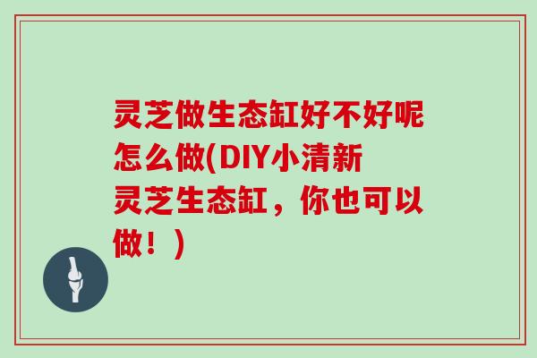 灵芝做生态缸好不好呢怎么做(DIY小清新灵芝生态缸，你也可以做！)