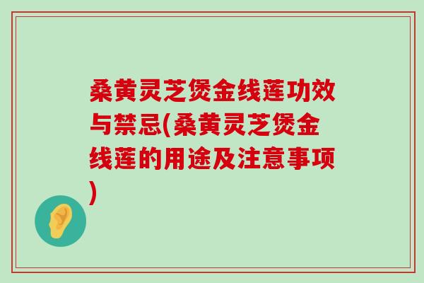 桑黄灵芝煲金线莲功效与禁忌(桑黄灵芝煲金线莲的用途及注意事项)