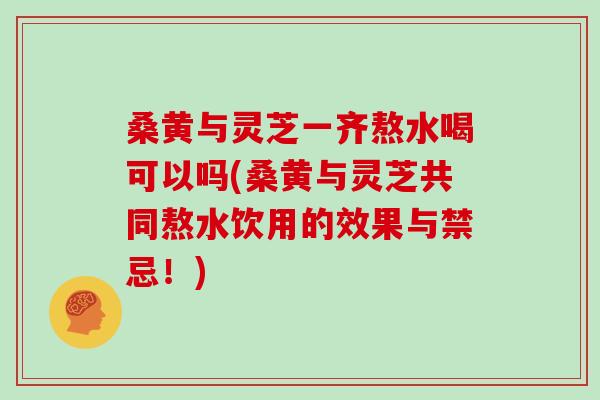 桑黄与灵芝一齐熬水喝可以吗(桑黄与灵芝共同熬水饮用的效果与禁忌！)