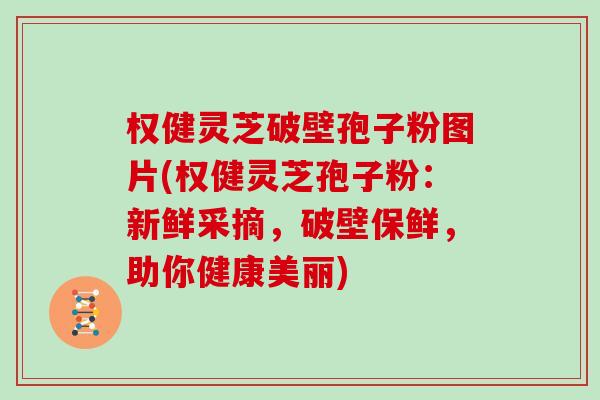 权健灵芝破壁孢子粉图片(权健灵芝孢子粉：新鲜采摘，破壁保鲜，助你健康美丽)