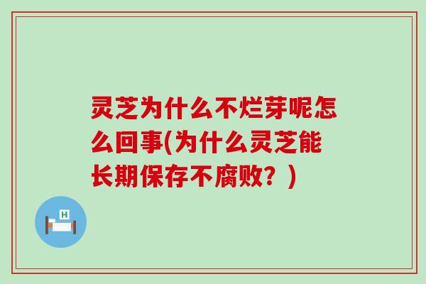 灵芝为什么不烂芽呢怎么回事(为什么灵芝能长期保存不腐败？)