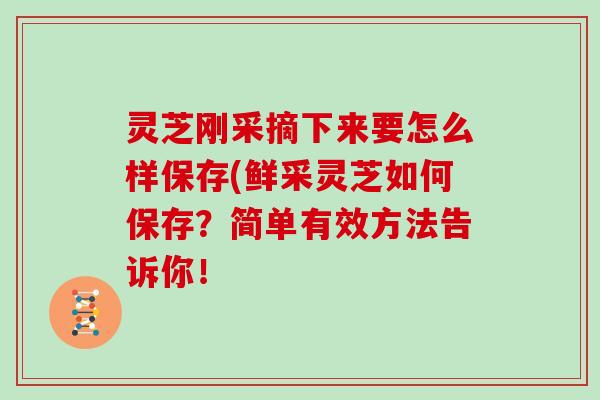 灵芝刚采摘下来要怎么样保存(鲜采灵芝如何保存？简单有效方法告诉你！