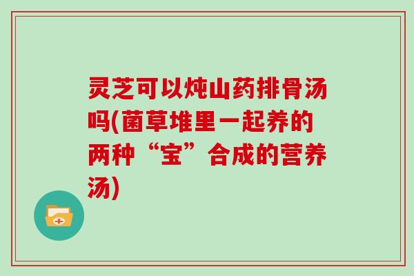 灵芝可以炖山药排骨汤吗(菌草堆里一起养的两种“宝”合成的营养汤)