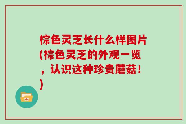 棕色灵芝长什么样图片(棕色灵芝的外观一览，认识这种珍贵蘑菇！)