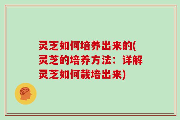 灵芝如何培养出来的(灵芝的培养方法：详解灵芝如何栽培出来)