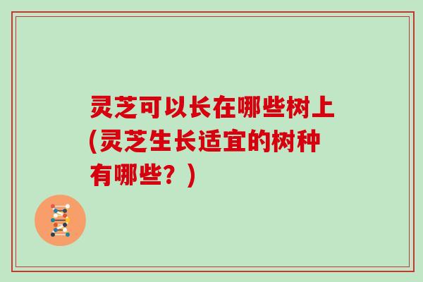 灵芝可以长在哪些树上(灵芝生长适宜的树种有哪些？)