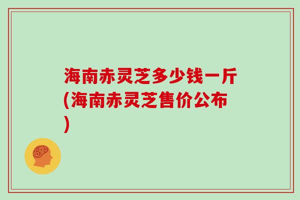 海南赤灵芝多少钱一斤(海南赤灵芝售价公布)