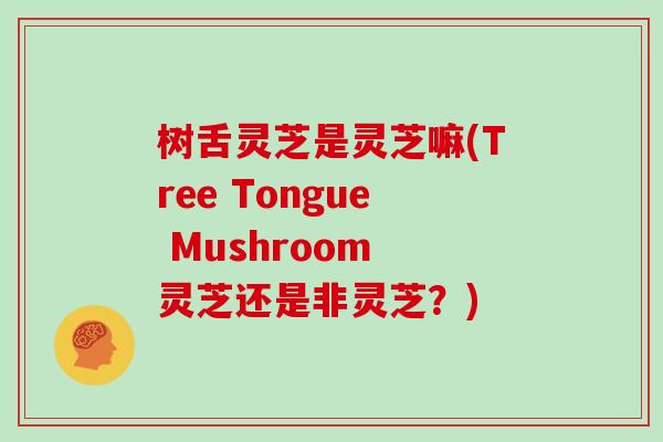 树舌灵芝是灵芝嘛(Tree Tongue Mushroom 灵芝还是非灵芝？)