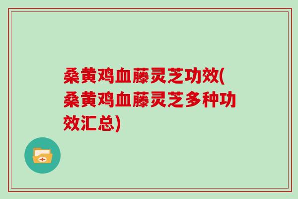 桑黄鸡藤灵芝功效(桑黄鸡藤灵芝多种功效汇总)