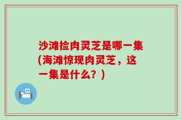 沙滩捡肉灵芝是哪一集(海滩惊现肉灵芝，这一集是什么？)