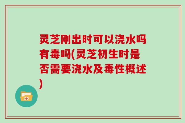 灵芝刚出时可以浇水吗有毒吗(灵芝初生时是否需要浇水及毒性概述)