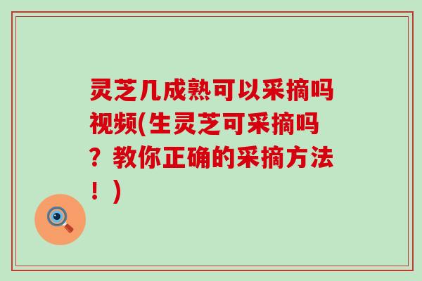 灵芝几成熟可以采摘吗视频(生灵芝可采摘吗？教你正确的采摘方法！)