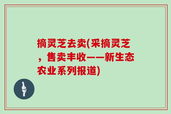 摘灵芝去卖(采摘灵芝，售卖丰收——新生态农业系列报道)