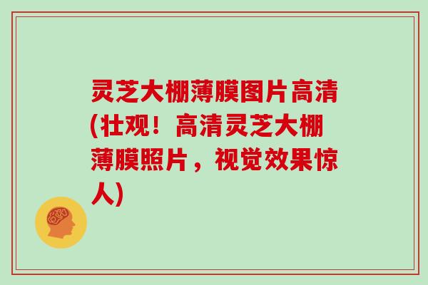 灵芝大棚薄膜图片高清(壮观！高清灵芝大棚薄膜照片，视觉效果惊人)