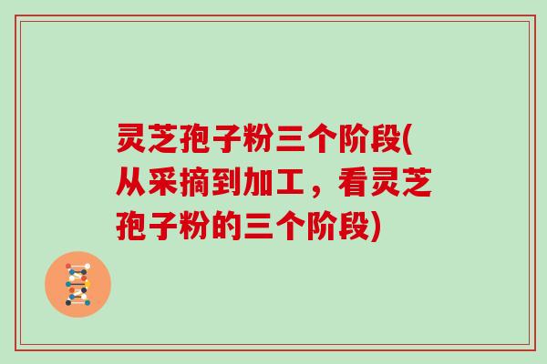 灵芝孢子粉三个阶段(从采摘到加工，看灵芝孢子粉的三个阶段)