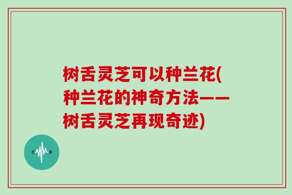 树舌灵芝可以种兰花(种兰花的神奇方法——树舌灵芝再现奇迹)