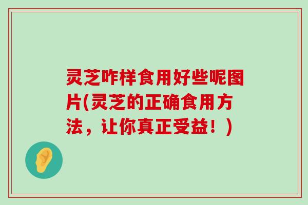 灵芝咋样食用好些呢图片(灵芝的正确食用方法，让你真正受益！)