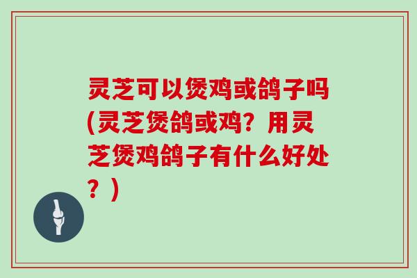 灵芝可以煲鸡或鸽子吗(灵芝煲鸽或鸡？用灵芝煲鸡鸽子有什么好处？)