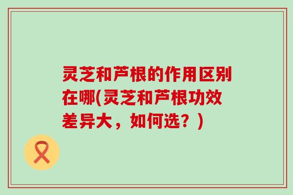 灵芝和芦根的作用区别在哪(灵芝和芦根功效差异大，如何选？)