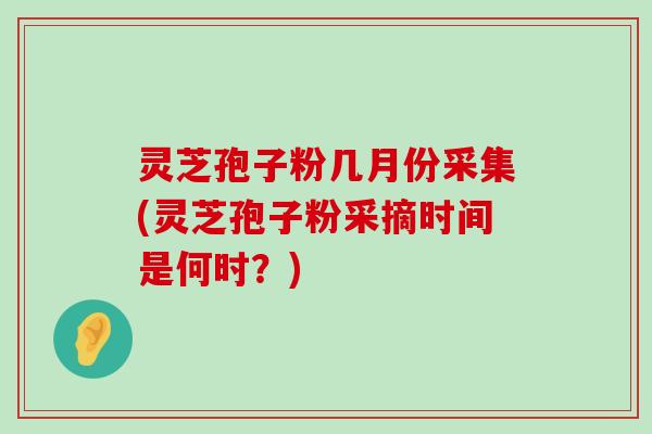 灵芝孢子粉几月份采集(灵芝孢子粉采摘时间是何时？)